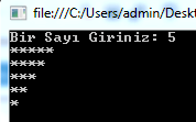 iç içe for döngü örneği