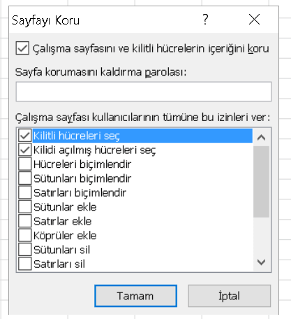 sayfayı koru