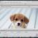 2-Fireworks CS6 Görünüm Araçları ve Dosya Açma
