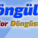 For Döngüsü