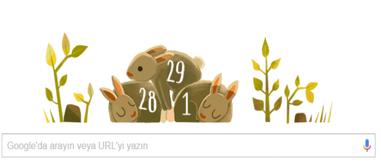 artık yıl