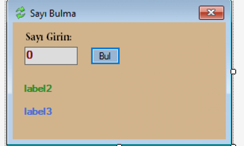 c# sayı tahmin oyunu