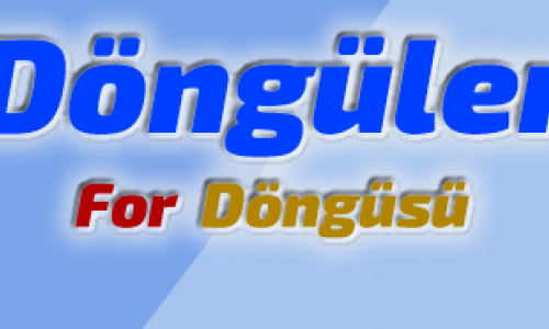 For Döngüsü